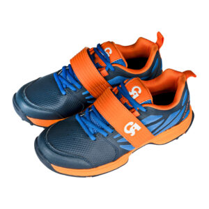 ca pro big bang max